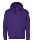 Hanes Unisex EcoSmart® Hooded Sweatshirt P170