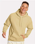Hanes Unisex EcoSmart® Hooded Sweatshirt P170