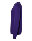 BELLA + CANVAS Unisex Sponge Fleece Raglan Crewneck Sweatshirt 3901