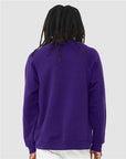 BELLA + CANVAS Unisex Sponge Fleece Raglan Crewneck Sweatshirt 3901