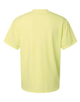 Comfort Colors Unisex Garment-Dyed Heavyweight T-Shirt 1717