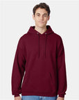 Hanes Unisex EcoSmart® Hooded Sweatshirt P170