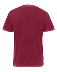 Next Level Unisex Soft Wash T-Shirt 3600SW
