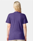 American Apparel Unisex CVC Tee 2001CVC