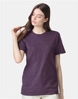 American Apparel Unisex CVC Tee 2001CVC