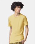 American Apparel Unisex CVC Tee 2001CVC