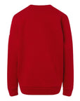 Adidas Youth Fleece Crewneck Sweatshirt AT202