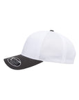 Flexfit 110® Mesh-Back Cap 110M