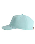 Imperial The Harrison Cap 5054U