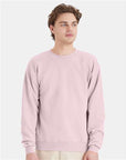 Hanes Unisex EcoSmart® Crewneck Sweatshirt P160