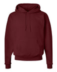 Hanes Unisex EcoSmart® Hooded Sweatshirt P170