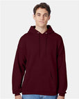 Hanes Unisex EcoSmart® Hooded Sweatshirt P170