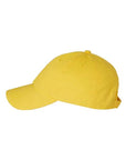 Valucap Bio-Washed Classic Dad Hat VC300A
