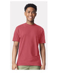 Comfort Colors Unisex Garment-Dyed Heavyweight T-Shirt 1717