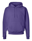 Hanes Unisex EcoSmart® Hooded Sweatshirt P170