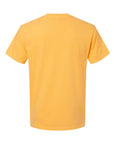 Comfort Colors Unisex Garment-Dyed Heavyweight T-Shirt 1717