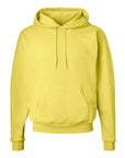 Hanes Unisex EcoSmart® Hooded Sweatshirt P170