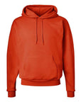 Hanes Unisex EcoSmart® Hooded Sweatshirt P170