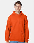 Hanes Unisex EcoSmart® Hooded Sweatshirt P170
