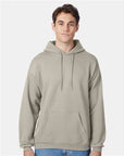 Hanes Unisex EcoSmart® Hooded Sweatshirt P170