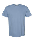 Comfort Colors Unisex Garment-Dyed Heavyweight T-Shirt 1717