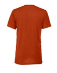 BELLA + CANVAS Triblend Tee 3413