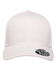 Flexfit 110® Mesh-Back Cap 110M