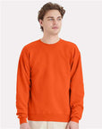 Hanes Unisex EcoSmart® Crewneck Sweatshirt P160
