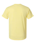 Hanes Perfect-T Triblend T-Shirt 42TB