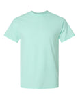 Hanes Perfect-T Triblend T-Shirt 42TB