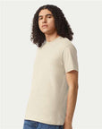 American Apparel Unisex CVC Tee 2001CVC
