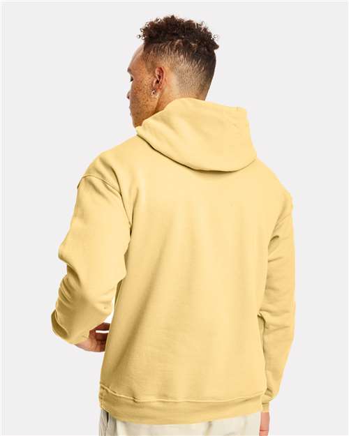 Hanes Unisex EcoSmart® Hooded Sweatshirt P170
