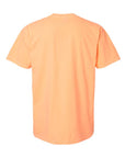 Comfort Colors Unisex Garment-Dyed Heavyweight T-Shirt 1717
