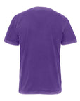 Next Level Unisex Soft Wash T-Shirt 3600SW