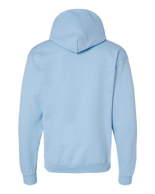 Hanes Unisex EcoSmart® Hooded Sweatshirt P170