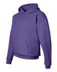 Hanes Unisex EcoSmart® Hooded Sweatshirt P170