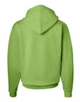 Hanes Unisex EcoSmart® Hooded Sweatshirt P170