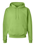 Hanes Unisex EcoSmart® Hooded Sweatshirt P170
