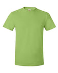 Hanes Unisex Perfect-T T-Shirt 4980