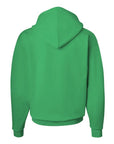 Hanes Unisex EcoSmart® Hooded Sweatshirt P170