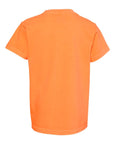 Comfort Colors Youth Garment-Dyed Heavyweight T-Shirt 9018