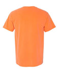 Comfort Colors Unisex Garment-Dyed Heavyweight T-Shirt 1717