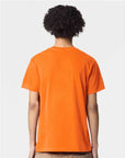 American Apparel Unisex Fine Jersey Tee 2001
