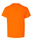 Gildan Youth DryBlend® T-Shirt 8000B