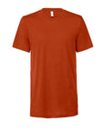 BELLA + CANVAS Triblend Tee 3413