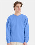 Hanes Unisex EcoSmart® Crewneck Sweatshirt P160