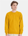 Hanes Unisex EcoSmart® Crewneck Sweatshirt P160