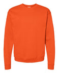 Hanes Unisex EcoSmart® Crewneck Sweatshirt P160