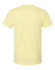 Hanes Unisex Perfect-T T-Shirt 4980
