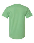Hanes Perfect-T Triblend T-Shirt 42TB